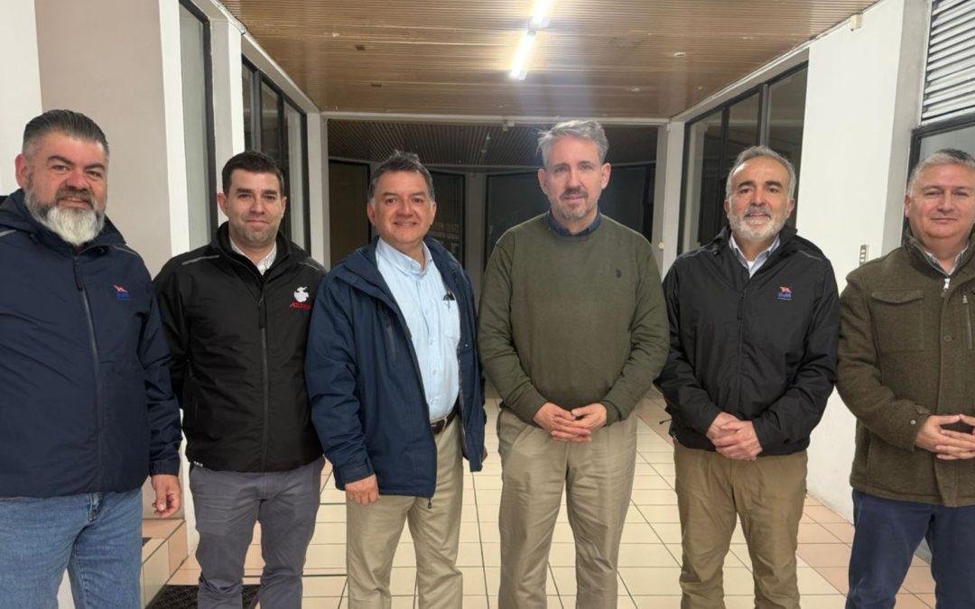 ASONAVE Magallanes se reúne con autoridades por operación de cruceros en la región